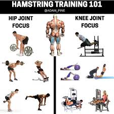 La Musculation Est Un Ensemble D Exercices Physiques Visant Le Developpement Des Muscles Squelettiques Afin Musculation Muscle Squelettique Exercice Physique
