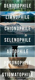 Selenophile Autophile Stigmatophile Weird Words Beautiful Words In English Unusual Words