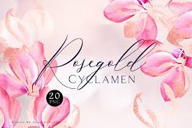 Maybe you would like to learn more about one of these? Watercolor Pink Floral Rose Gold Clipart Winter Flowers 897366 Illustrations Design Bundles