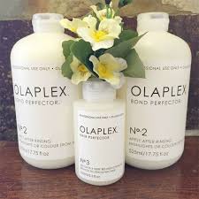 Repairing Hair Damage Olaplex Vs Protein Treatments Naturallycurly Com