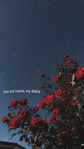 I looked under wallpaper and it only allows to change the. Citati Citati Wallpaper Tumblr Lockscreen Wallpaper Iphone Quotes Wallpaper Quotes