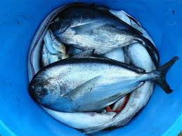 Best Fish To Eat And Those To Avoid Healthifyme Blog