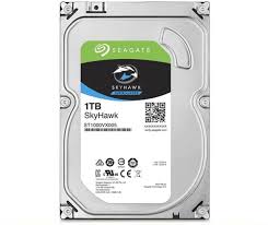 Seagate ST1000VX005 SkyHawk 1TB Surveillance Hard Drive