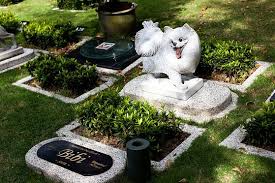 22,652 likes · 42 talking about this · 2,282 were here. Pet Garden Nirvana Memorial Park Malaysia