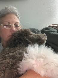 Puppy Loki Variant. For the Loki Fans!