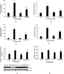 We did not find results for: Lycopene Enriched Tomato Extract Suppresses Chemically Induced Skin Tumorigenesis In Mice International Journal For Vitamin And Nutrition Research