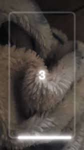 Sonja Bonds (@wkdkitty)