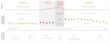 daysy simple and easy fertility tracker