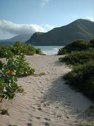 Kunstnet ist eine online galerie für kunstinteressierte und künstler. Venezuela Landschaft Natur Draussen