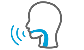 Image result for Functional Aphonia