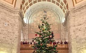 The senator's casket will lie in state in the capitol rotunda overnight, watched by an honor guard. Making The Holidays Bright With The Capitol Rotunda Holiday Kids Tree Thurstontalk