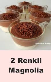 Iki Renkli Magnolia Tarifi Tatli Ikindi Cayi Tarifleri Yemek Tarifleri