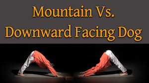 Major muscle used of downward dog. Downward Dog Vs Mountain Pose What S The Difference Sita S Yoga