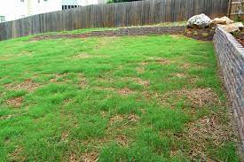 Laying Bermuda Grass Seed Retaining Wall Grading And Leveling Grass Seed Bermuda Grass Seed Bermuda Grass