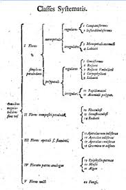 This classification system does not account for several complicating factors: I Nomi Delle Piante I Nomi Delle Piante