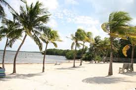 Cannon beach is the parks primary snorkeling beach, where you will find the remnants of an early spanish shipwreck approximately 100 feet offshore. John Pennekamp State Park Key Largo Florida Florida State Parks State Parks Iceland Camping