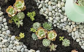 We're sharing with you 15 river rock landscape design ideas for a little inspiration and creative guidance. Rock Landscaping Ideas That Increase Curb Appeal The Home Depot