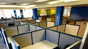 Are Cubicles Making a Comeback? Why Offices Are Rethinking Workspace Design