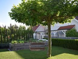 Die schönsten bäume für kleine gärten. Klein Bleibende Schattenspender Flora Blumen Gartenbewerb Vol At