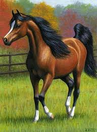 Pin On Animal Drawings
