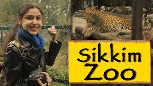 It is of great strategical importance for india because of its location along several international boundaries. Himalayan Zoological Park Gangtok Sikkim Youtube