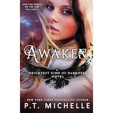 Amazon.com: Brightest Kind of Darkness: Book 1 eBook : Michelle, P.T.,  Patrice Michelle: Kindle Store