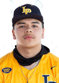 High school sports roundup: Moore, Lopp fuel Case girls soccer's regional  semifinal win