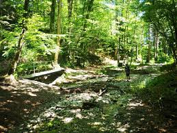 Die ilkahöhe taucht ja schon auf hikr auf, als guter aussichtspunkt in's voralpenland in kombination mit der unbekannteren waldschmidtschlucht. Uber Die Ilkahohe Zur Waldschmidtschlucht