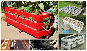 How to make a strawberry tower with pvc pipe the tower is 1 meter high and holds 21 strawberry now i will place ceramic. Diy Vertical Pallet Strawberry Planter Tutorials Video Diy Magazine