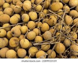 Image result for Sapindaceae