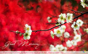 Download Free Good Morning 4k Wallpaper Quotes Hd Widescreen Wallpaper Or High Definition Widescreen Wal Wallpaper Quotes Good Morning Images Flowers Wallpaper