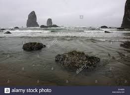 Tide Pool Haystack Rock Cannon Beach Oregon Coast Fog Stock