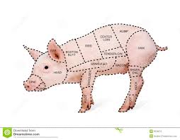 Butchers Pig Chart Stock Photo Image Of Oink Indoors