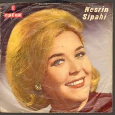 admin, Author at DİPSAHAF PLAK