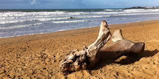Ça ne prendra qu'une minute de votre temps🙏. 10 Varietes De Plages Et Leurs Secrets De Fabrication