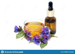 Flores Pulmonares Pulmonaria Officinalis Cha De Ervas Em Uma Garrafa De Copo Com Extrato E Flores Em Branco Imagem De Stock Imagem De Isolado Flor 217182995
