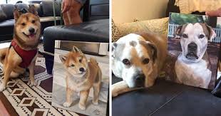 All paintings are created 100% by hand. I Paint Custom Pet Portraits And Seeing Them With Their Paintings Is Definitely The Best Thing 11 Pics Bored Panda