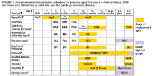 Recommended Immunization Schedules For Persons Aged 0 18 Years United States 2008