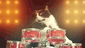 Relevant newest # music # band # monkey # monkey playing drums music # band # monkey # monkey playing drums # music # animation # cute # animals # cartoon Ryan Barger Katie Akana Gif Find On Gifer