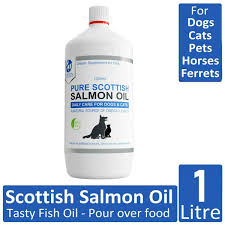 So, can cats eat fresh cooked salmon? Petastical Omega 3 Fish Oil For Dogs And Cats Extra Strength High Fatty Acid For Sale Online Ebay