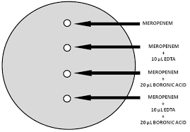 Phenotypic And Molecular Methods For The Detection Of Antibiotic Resistance Mechanisms In Gram Negative Nosocomial Pathogens Intechopen