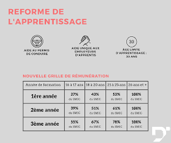 Salaire contrat d apprentissage 2016. Un Auto Entrepreneur Peut Il Prendre Un Apprenti