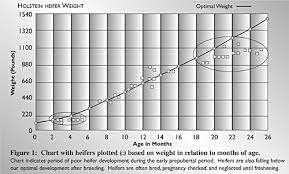 Milk Production Evaluation In First Lactation Heifers Vce