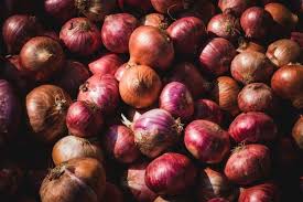 Pernahkah terpikir menanamnya dalam polybag atau pot ukurang inovasi dalam menanam bawang merah sudah mulai dilakukan oleh para petani bawang. 5 Cara Menanam Bawang Merah Dengan Mudah