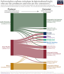 In this way the density of organisms and its diversity is very high. Deforestation And Forest Loss Our World In Data