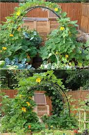It can be used for seed germination & frost protection. 24 Easy Diy Garden Trellis Ideas Plant Structures A Piece Of Rainbow