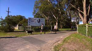 You are welcome to visit during daylight hours 365 days a year. West Coast Pet Care Centre Pet Hotel 7wawe Ep7 Youtube