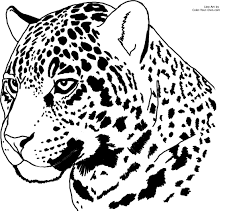 Need tesla gifts for the elon fanatic in your life? Jaguar Coloring Pages Big Cat Tattoo Jaguar Face Drawing Leopard Face Drawing