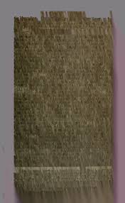 Image result for Eriospermum andongense