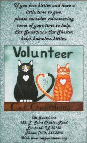 Kitten rescue was founded in the spring of 1997 and has grown to be one of the largest and most respected animal welfare groups in los angeles. Volunteer Opportunities